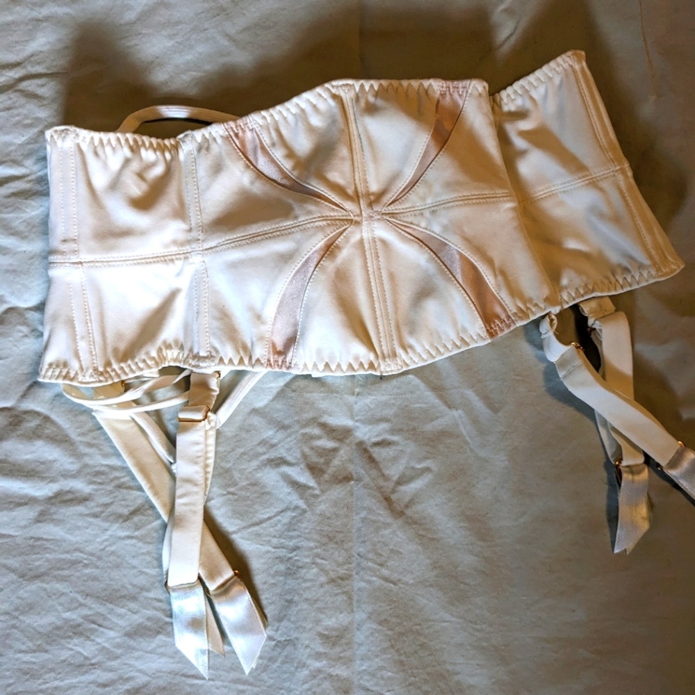 Agent Provocateur waspie suspender belt with tags